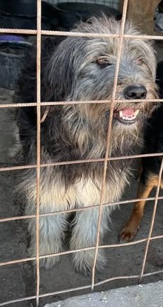 Einzelprinz Oliver will geliebt werden