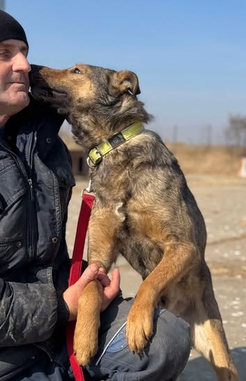 Menschenfreund Pascha