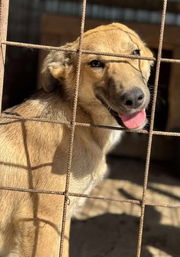 Sensible Raluca sucht einfühlsame Menschen