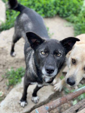 Liebe Zita wurde lange übersehen