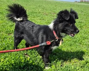 Kleine, sehr liebe Emelie sucht das große Glück